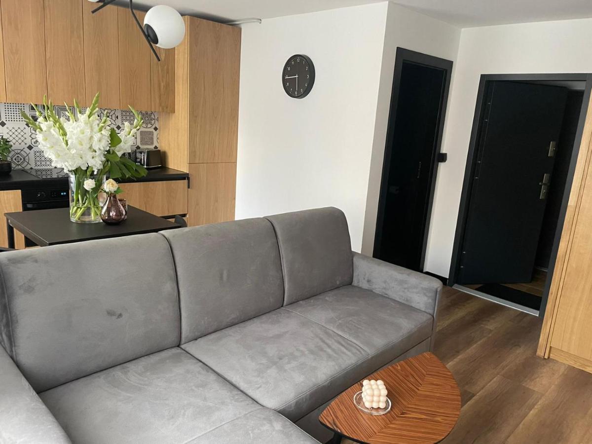 Apartamenty Nadrzeczna 14 Карпач Экстерьер фото