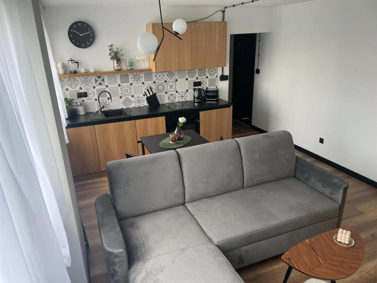 Apartamenty Nadrzeczna 14 Карпач Экстерьер фото