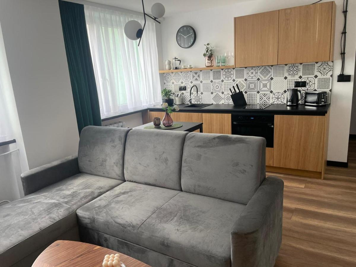 Apartamenty Nadrzeczna 14 Карпач Экстерьер фото