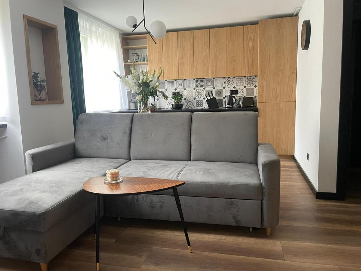 Apartamenty Nadrzeczna 14 Карпач Экстерьер фото
